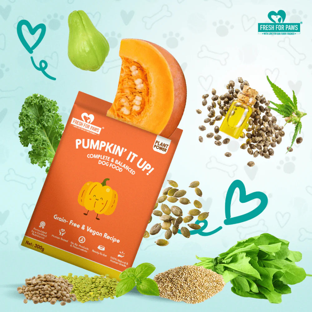 FRESH FOR PAWS PUMKIN IT UP 100GM