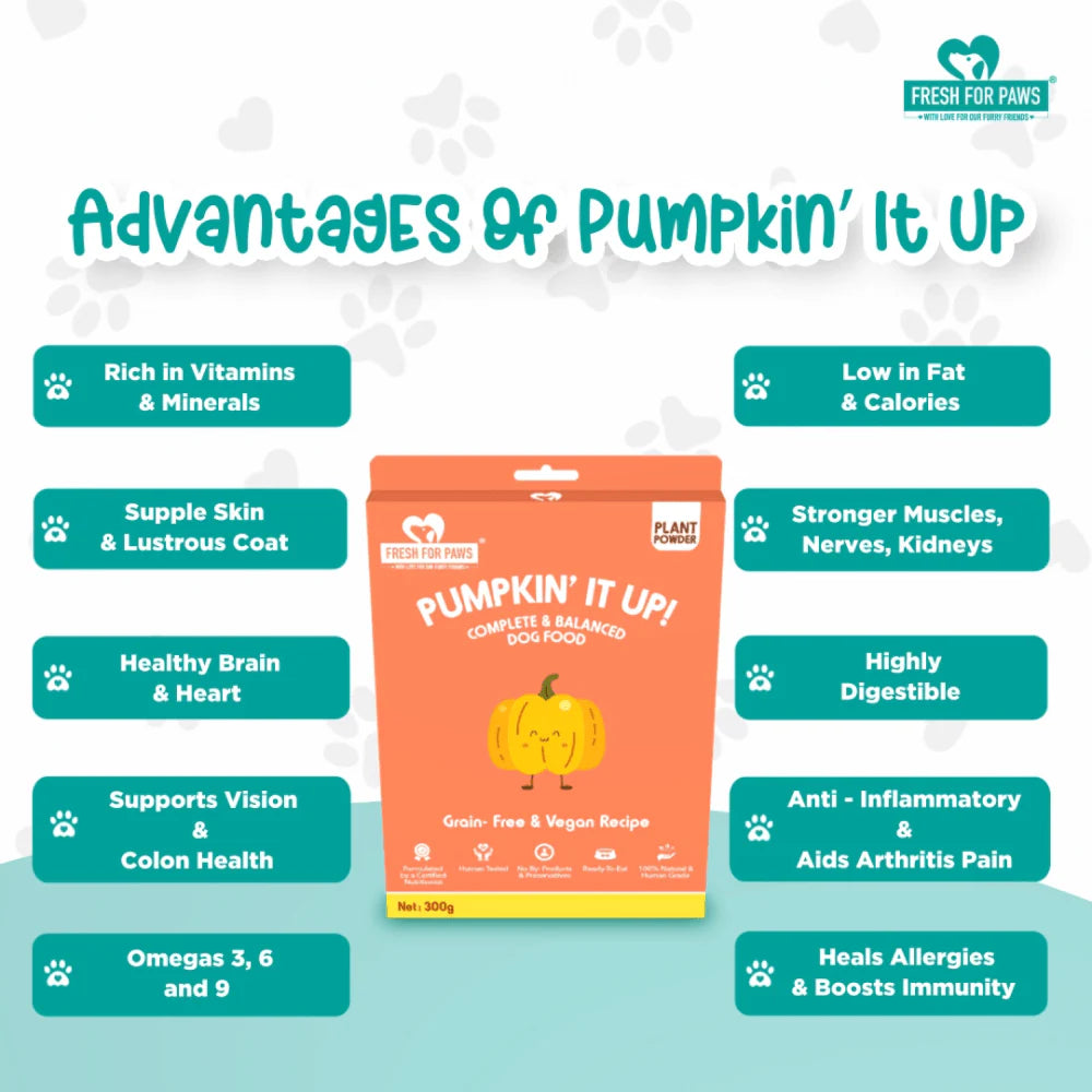 FRESH FOR PAWS PUMKIN IT UP 100GM