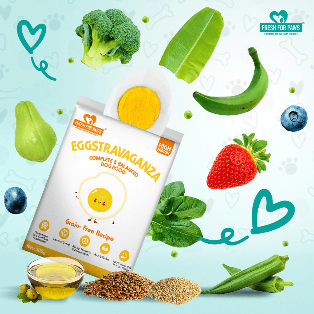 FRESH FOR PAWS EGGSTRAVAGANZA 100GM