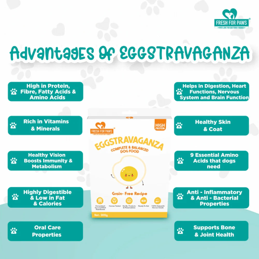 FRESH FOR PAWS EGGSTRAVAGANZA 100GM