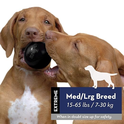 KONG BALL W HOLE MEDIUM LARGE