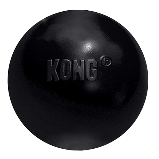 KONG BALL W HOLE MEDIUM LARGE