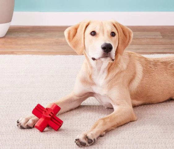 KONG JUMP N JACK MEDIUM TOY