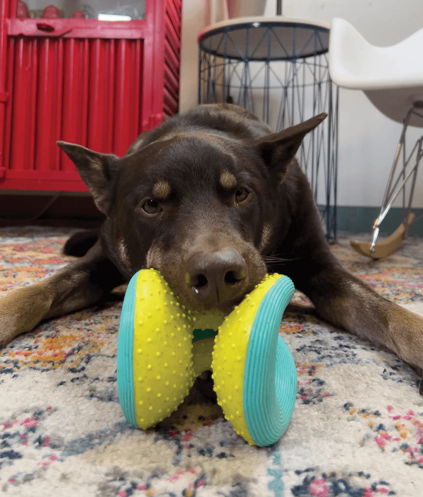 KONG RERUN WHOOSH BALL S M