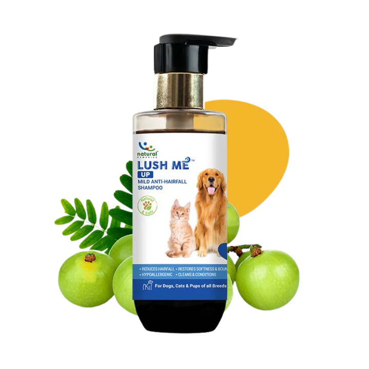 NATURAL REMEDIES LUSH ME UP 175ML