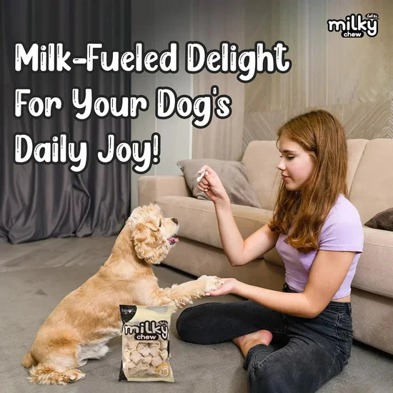 DOGAHOLIC MILKY CHEW BONE STYLE 15PCS