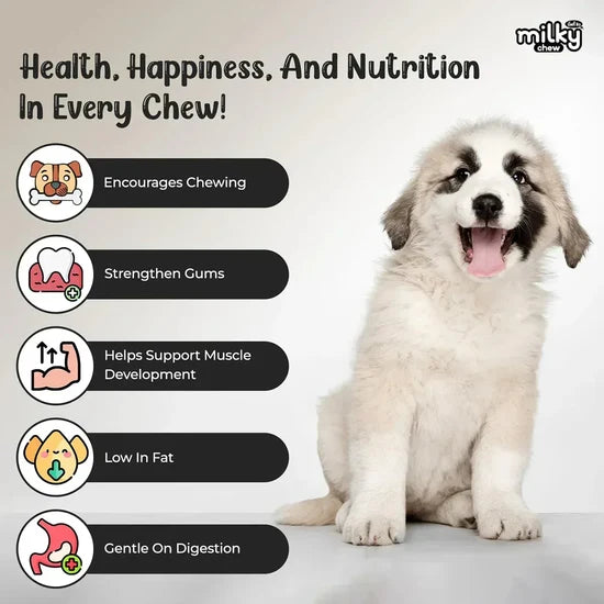 DOGAHOLIC MILKY CHEW BONE STYLE 15PCS