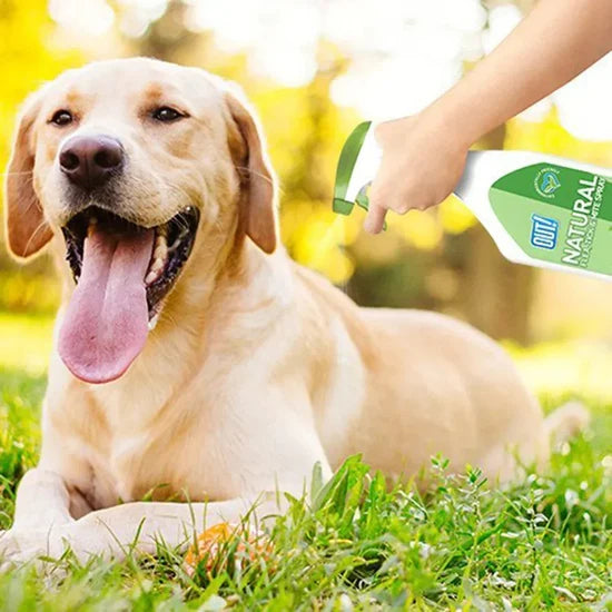 OUT NATURAL FLEA AND TICK SPRAY 500 ML