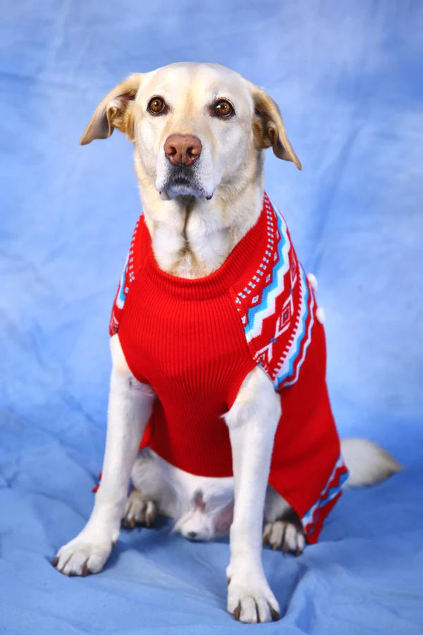 DOB RED AZTEC SWEATER M