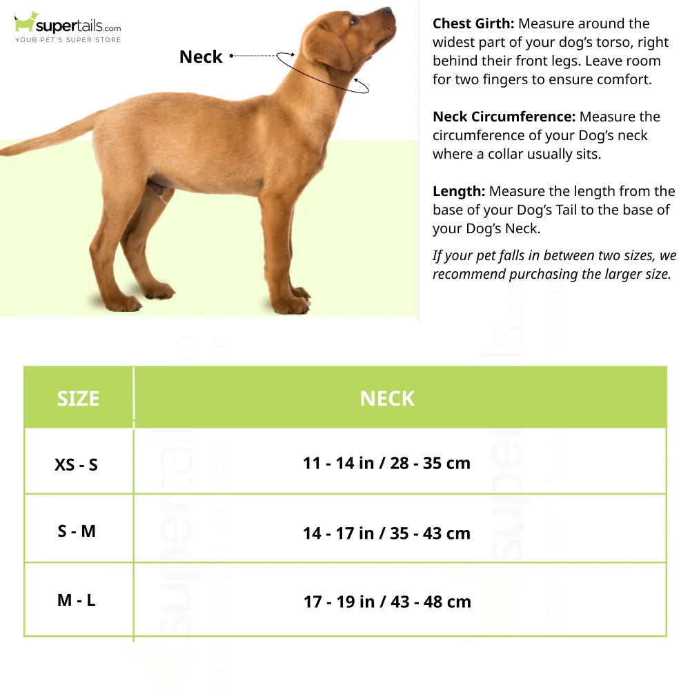 PREMIUM COLLAR WITH NEOPRENE PADDING EXTRA WIDE CAMOUFLAGE FOREST GREEN M L