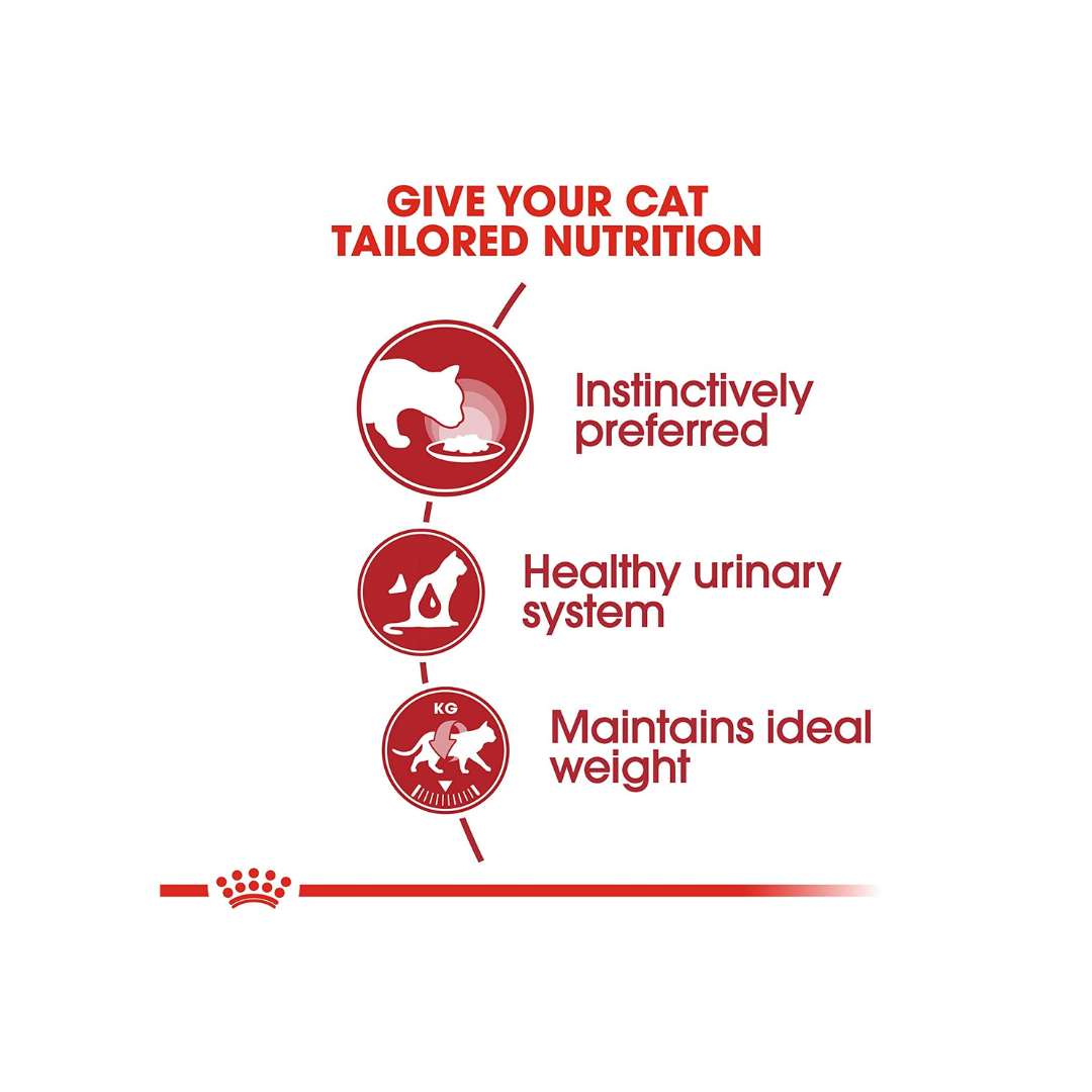 ROYAL CANIN INSTICTIVE 85 GM