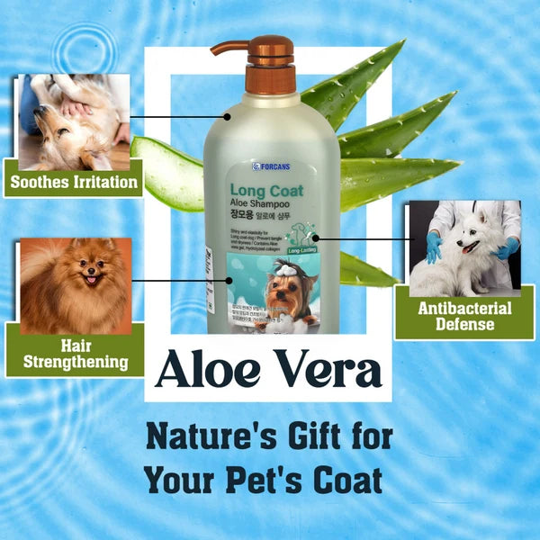 FORCANS LONG COAT ALOE SHAMPOO 750 ML