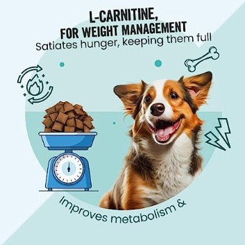 BOL WEIGHT CONTROL DOG PILLOWS 100GM