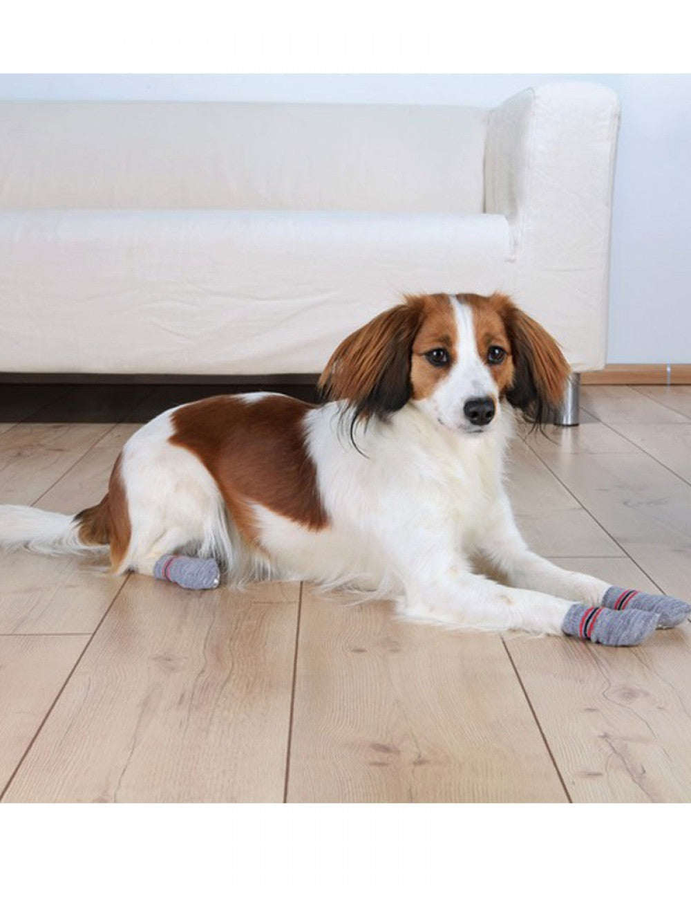 DOG SOCKS NON SLIP L XL 2 PCS GREY