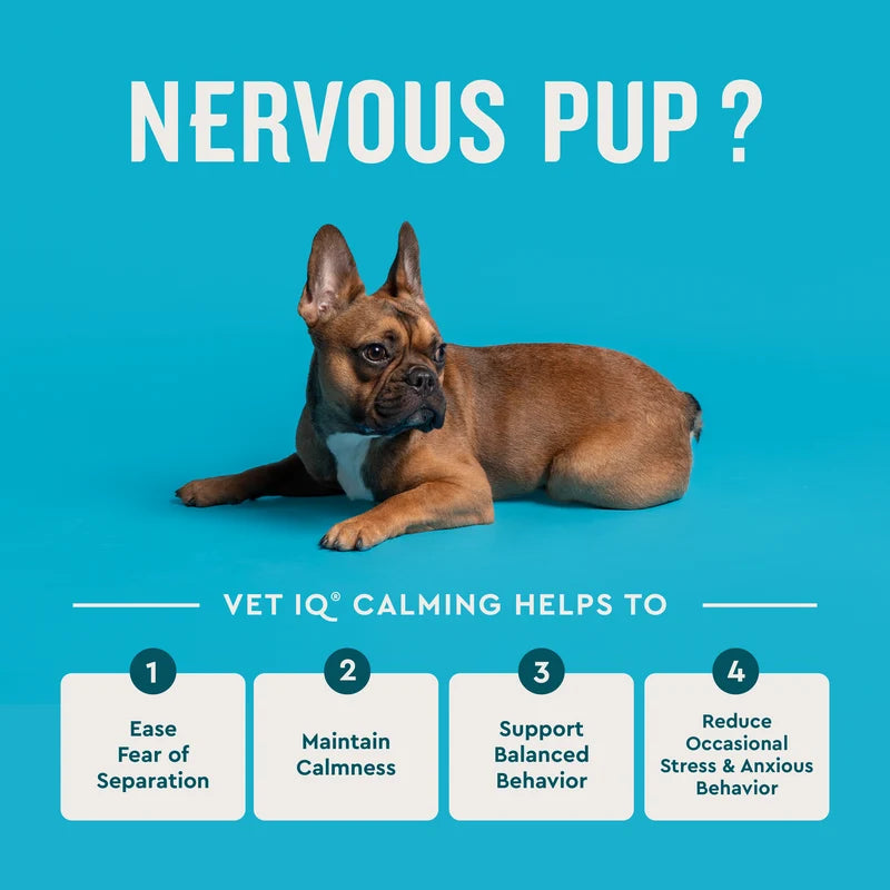 VETIQ HEALTHY TREAT CALMING FOR PUPPIES