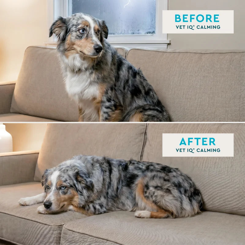 VETIQ HEALTHY TREAT CALMING FOR PUPPIES