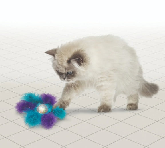 CA437 BAT A BOUT FLICKER FLURRY