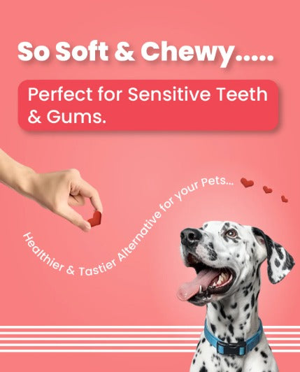 BOL RED HEARTS SOFT CHEWS 100GM