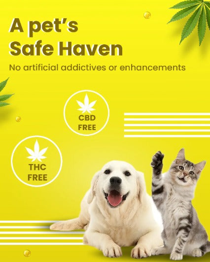 BOL SKIN AND COAT HEMP CHEWSTIX 100G