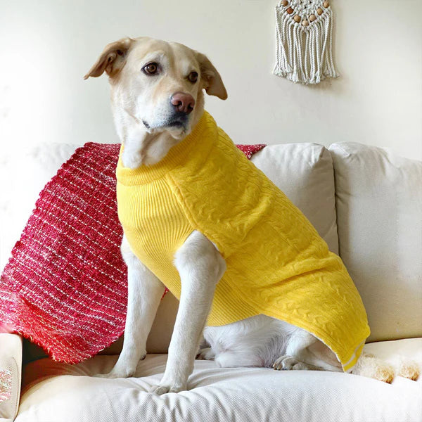 DOB KNIT SWEATER XL
