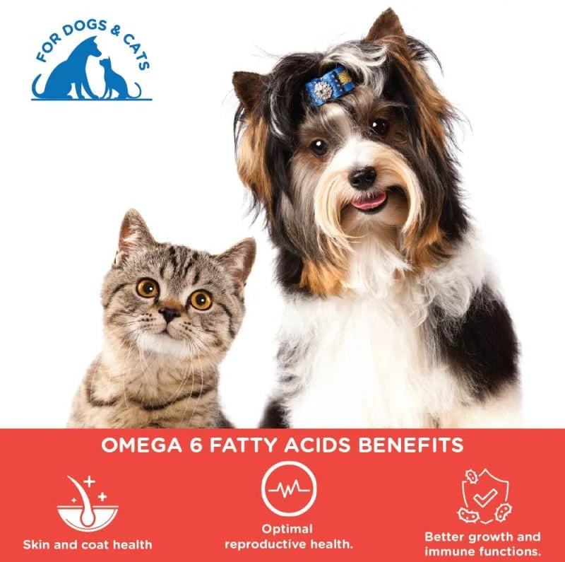 PAWSOME COMPANIONS FUREVER SALMON OIL 500 ML