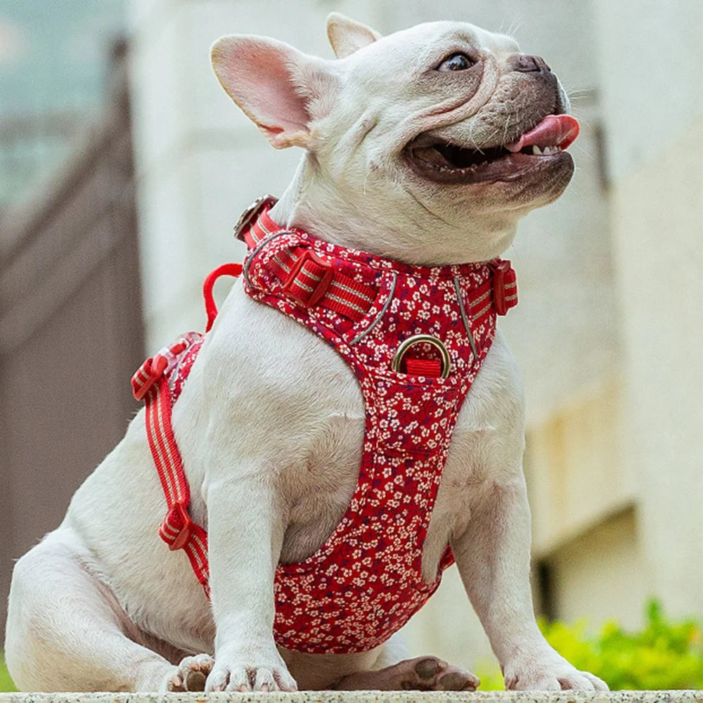 TRUELOVE FLORAL NO PULL PET HARNESS S POPPY RED
