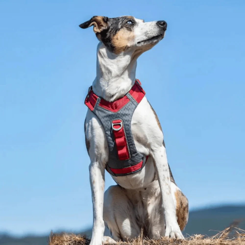 KURGO JOURNEY AIR HARNESS BARN RED XL