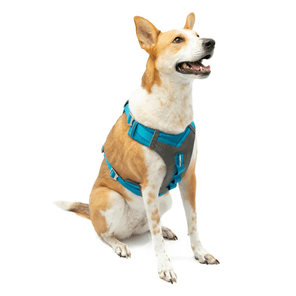 KURGO JOURNEY AIR HARNESS BLUE L