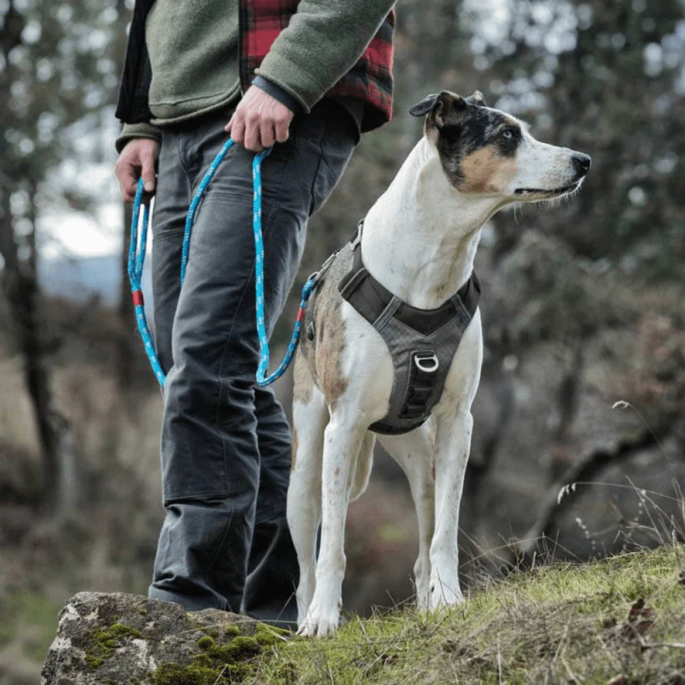 KURGO JOURNEY AIR HARNESS BLACK M