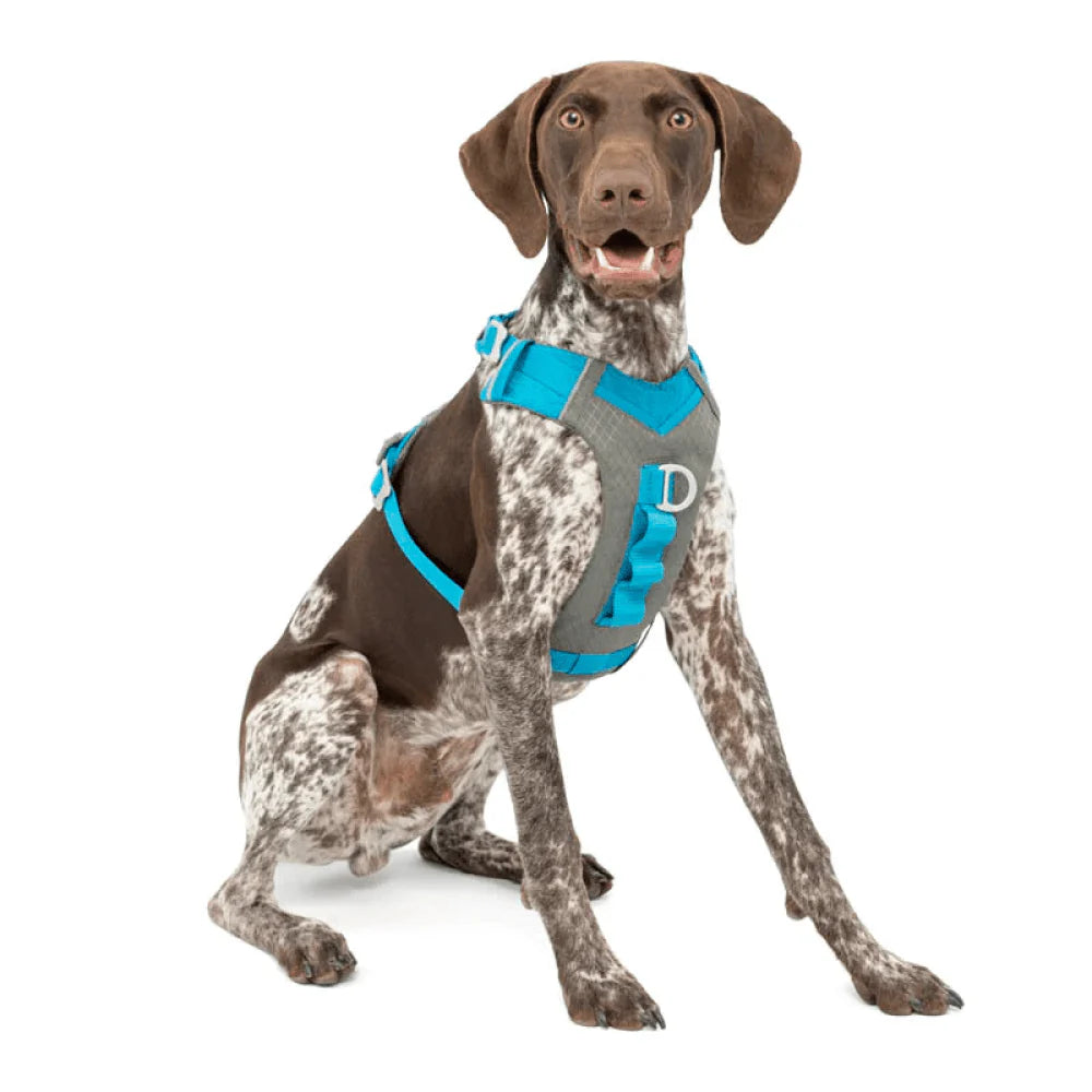 KURGO JOURNEY AIR HARNESS COASTAL BLUE XL