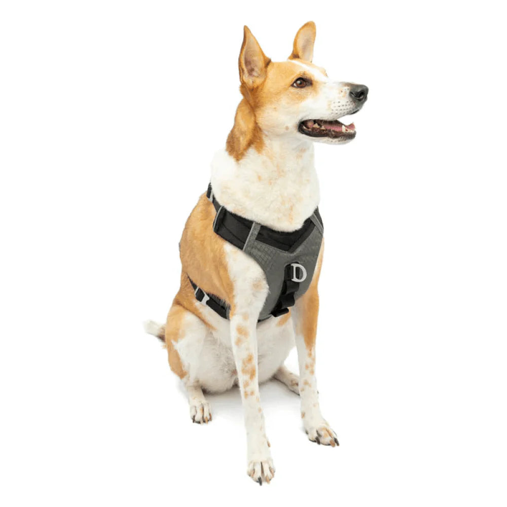 KURGO JOURNEY AIR HARNESS BLACK XL