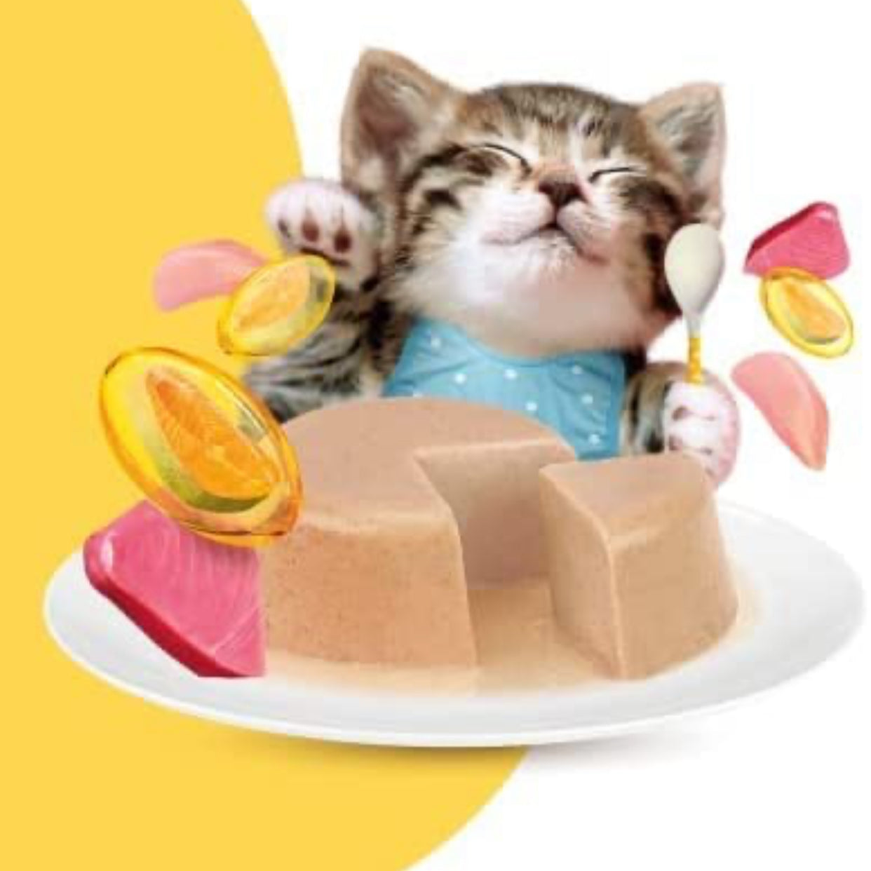 MOOCHIE HG CAT FOOD CHICKEN & TUNA MOUSSE GRAVY 85G