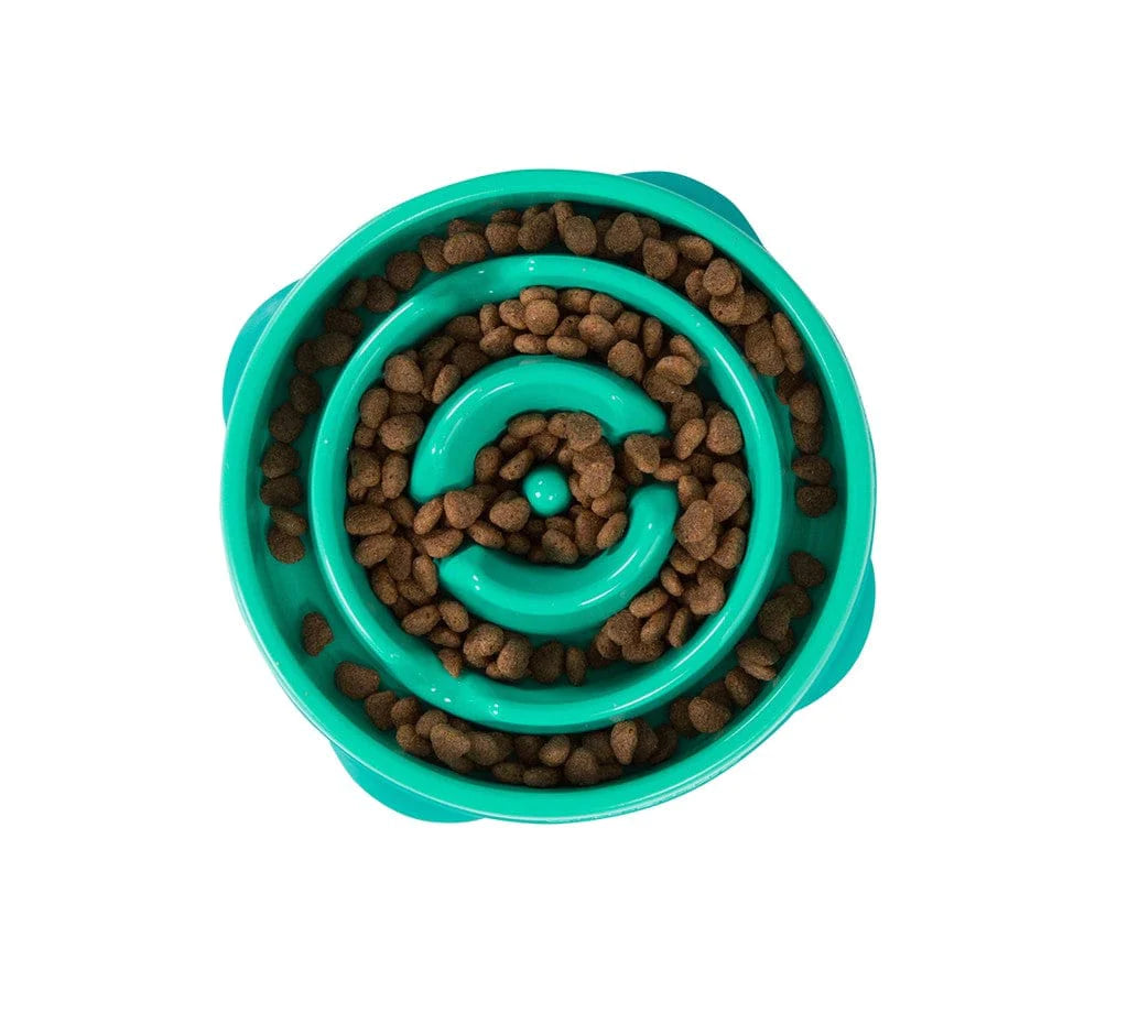 FUN FEEDER SLOW FEED BOWL TEAL
