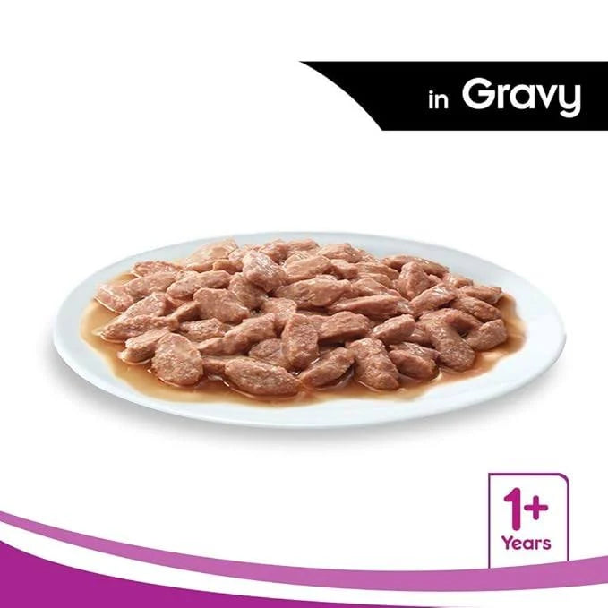 WHISKAS ADULT CHICKEN IN GRAVY 85G