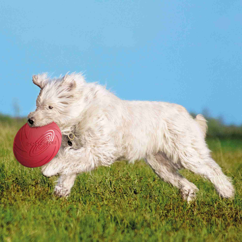DOG DISC FLOATALE NATURAL RUBBER DIA 18CM