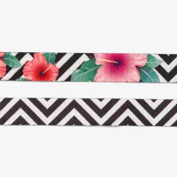 ZEEDOG MAHALO COLLAR SMALL